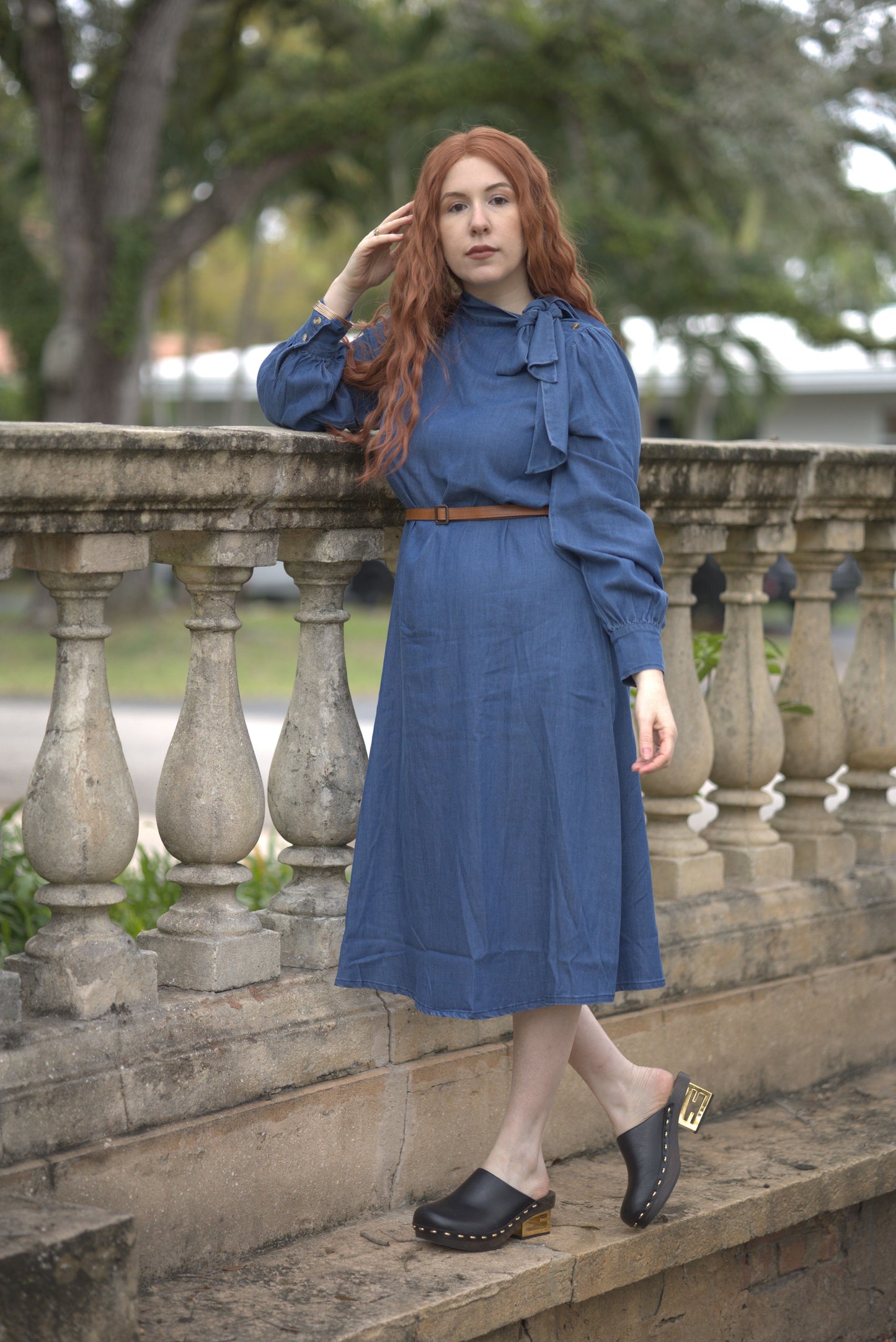 Daniella Denim Dress